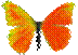 Orange-b-fly-fav-icon-43.png