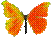 Orange-b-fly-fav-icon-43.png